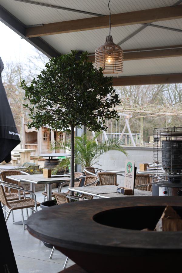 Brasserie 5