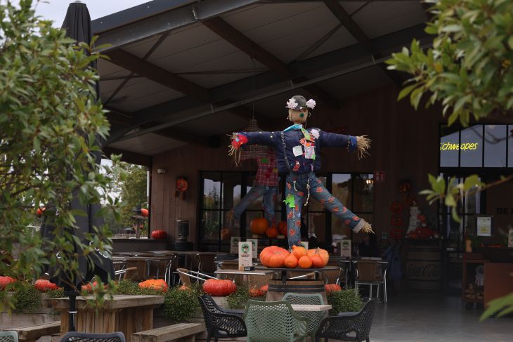 Halloween activiteiten