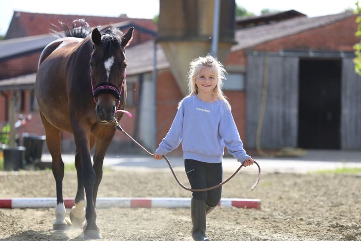 Pony Dag