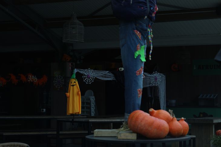 Halloween grime & gekke kapsels