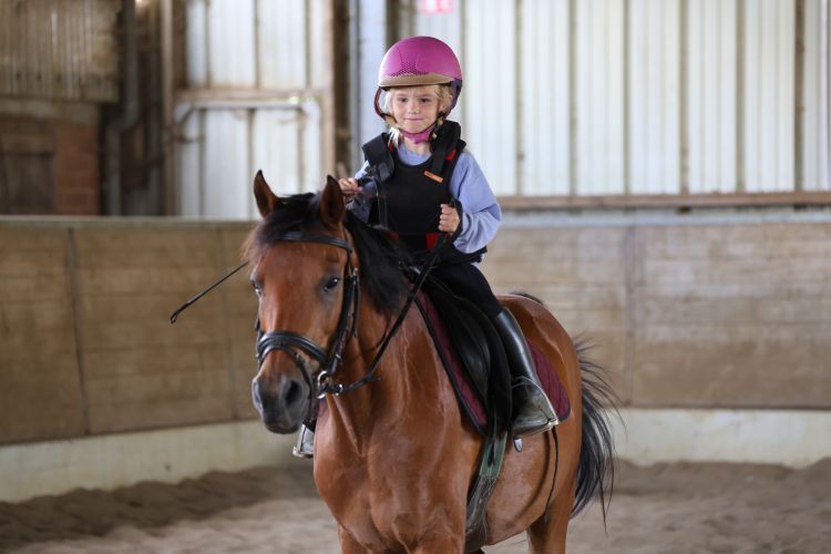 Pony Dag Pony Dag